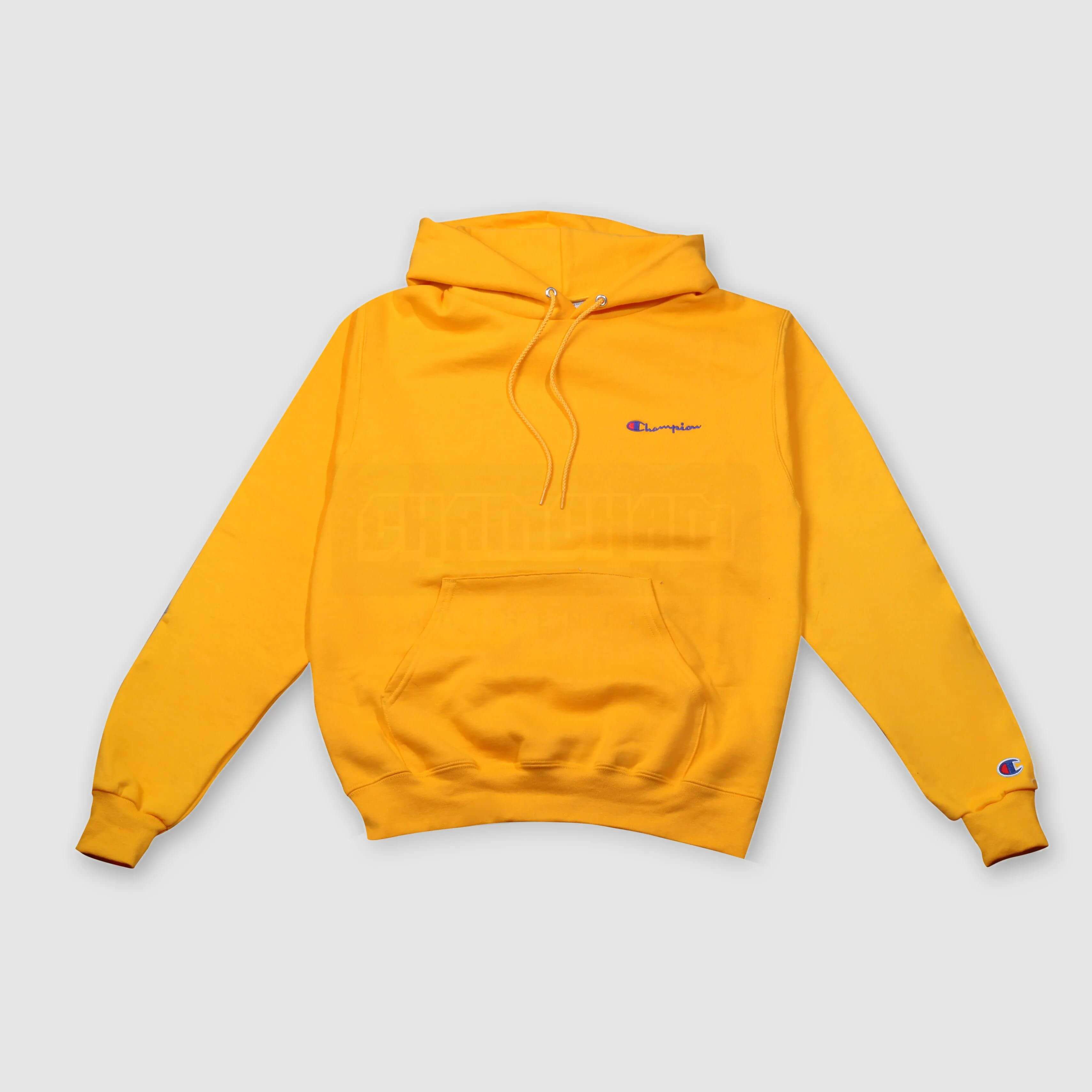 champion ecosmart hoodie